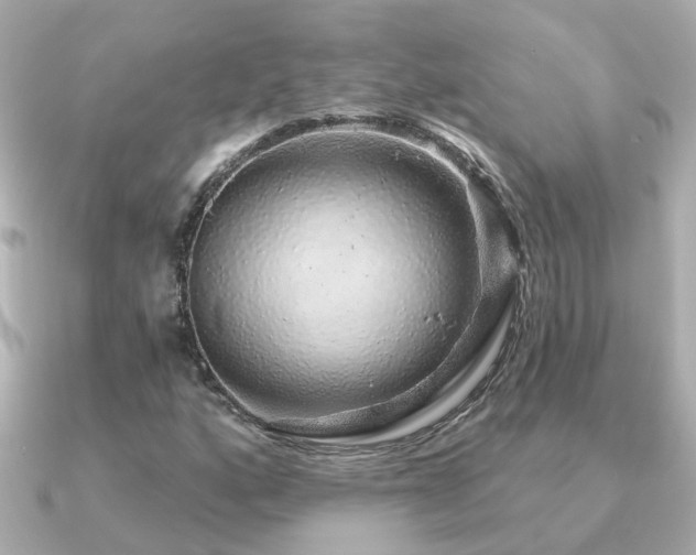 X0000091331160200708101421