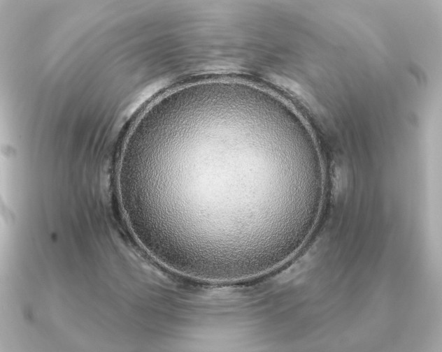 X0000091331162200708101421