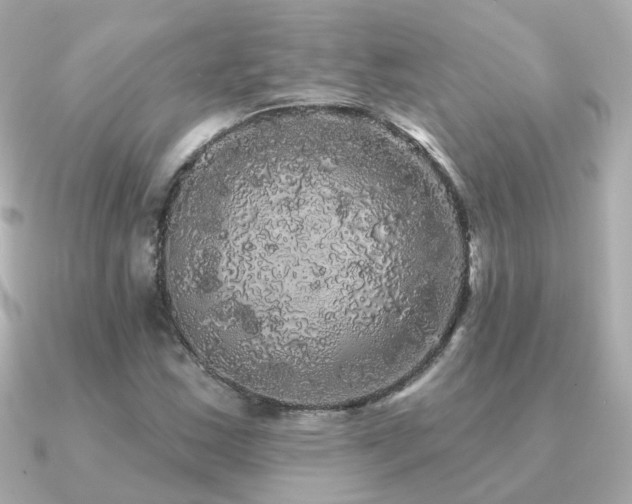 X0000091331163200708101420