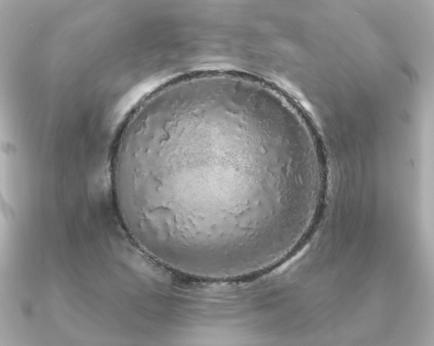 X0000091331167200708101420