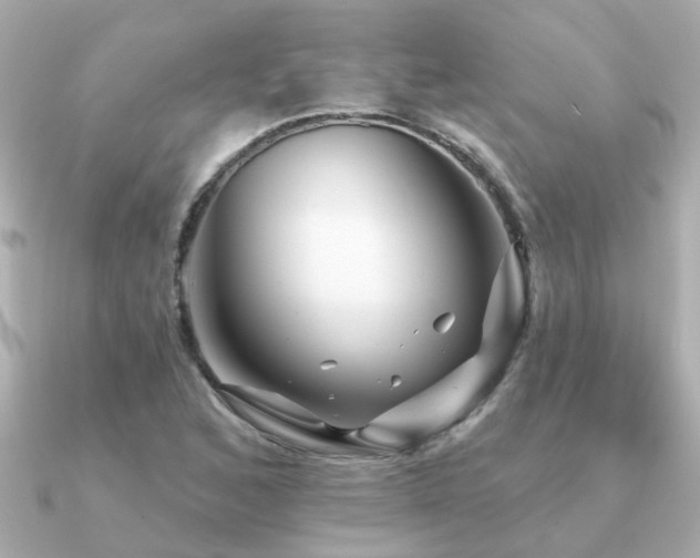X0000091331168200708101420