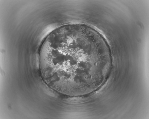 X0000091331171200708101420