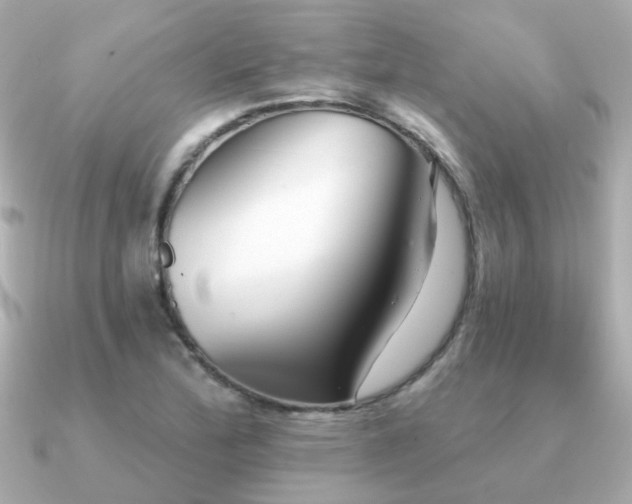 X0000091331172200708101420