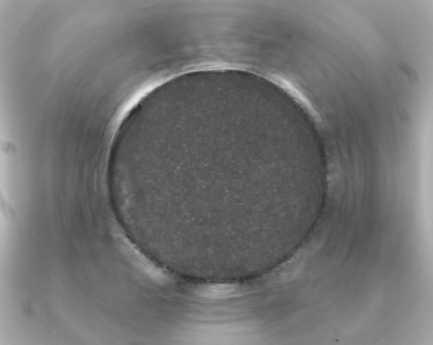 X0000091331173200708101420
