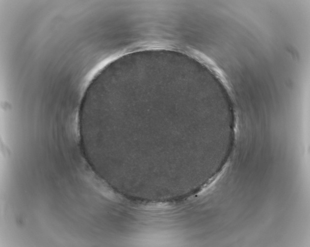 X0000091331174200708101420