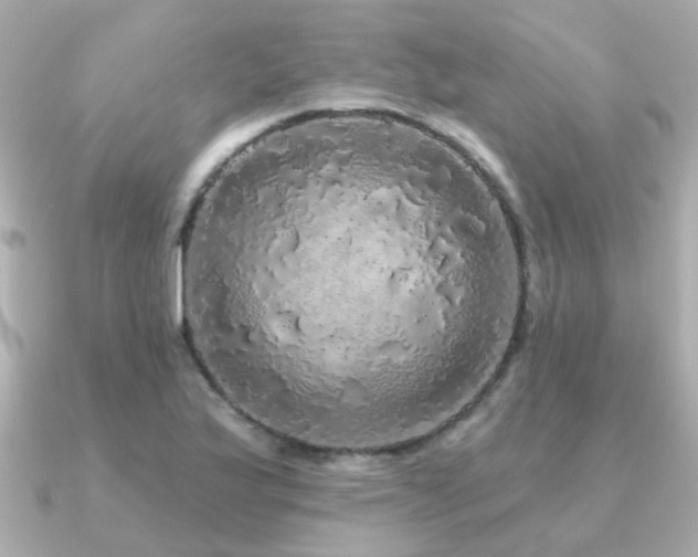 X0000091331175200708101420