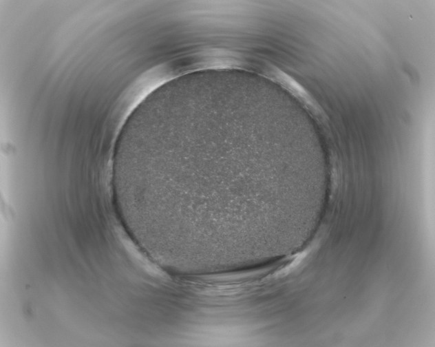X0000091331178200708101420