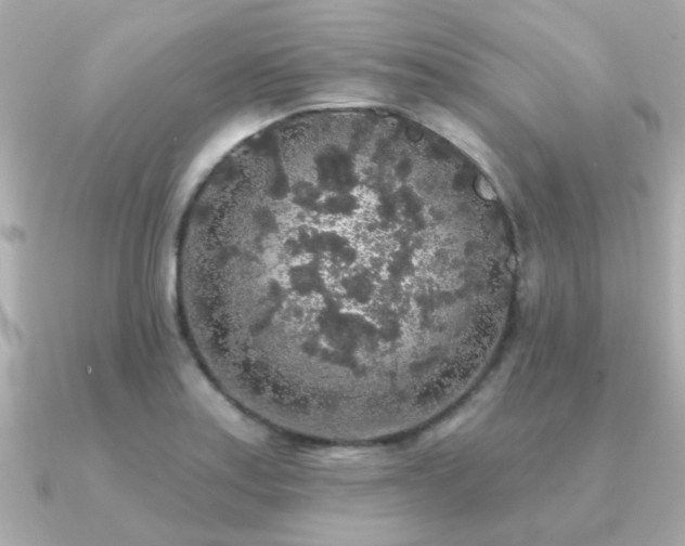 X0000091331179200708101420