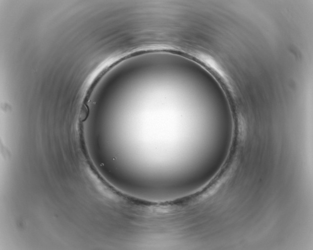 X0000091331181200708101420