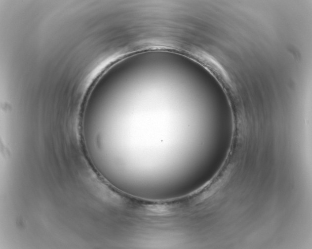 X0000091331182200708101420