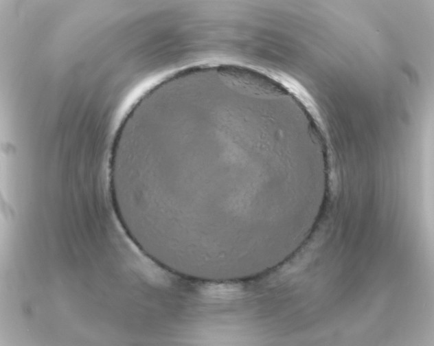 X0000091331183200708101420