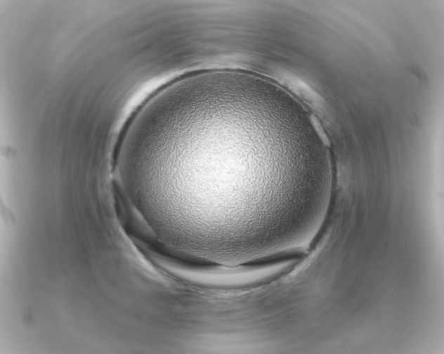 X0000091331184200708101420