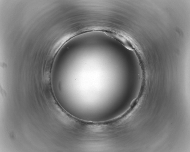 X0000091331185200708101420