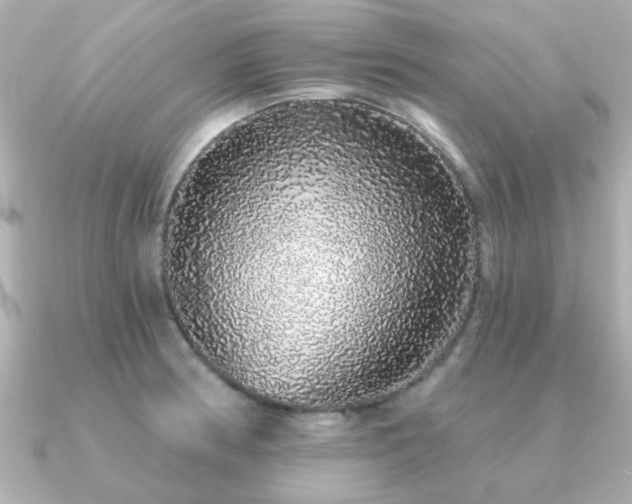 X0000091331186200708101420