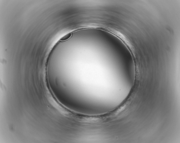 X0000091331187200708101420