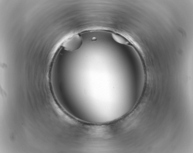 X0000091331189200708101420