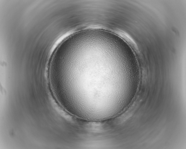 X0000091331190200708101420