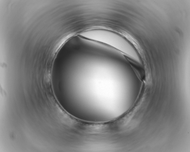 X0000091331193200708101420