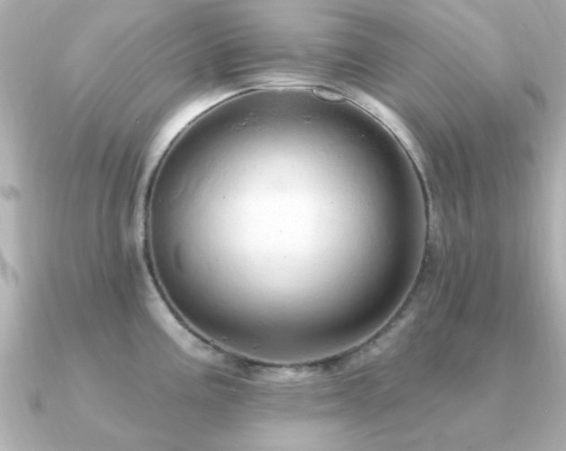 X0000091331195200708101420