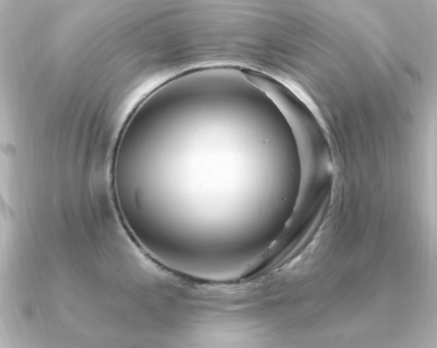 X0000091331197200708101420