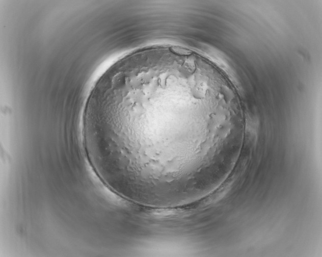 X0000091331199200708101420