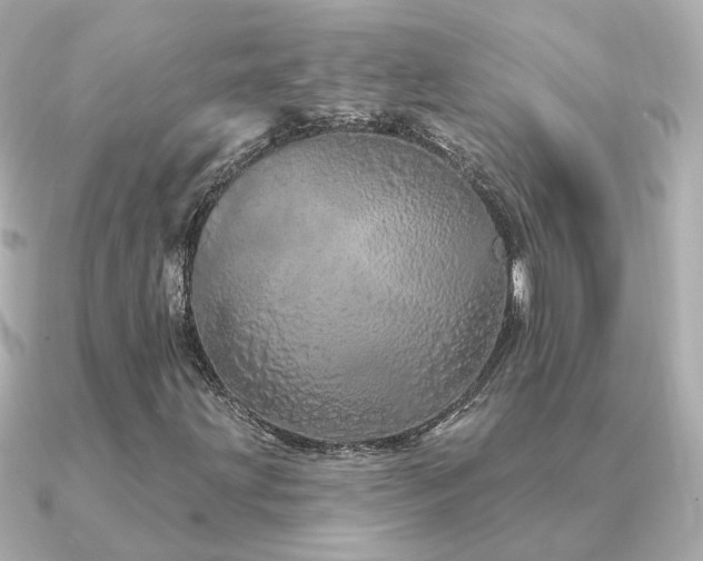 X0000091331203200708101420