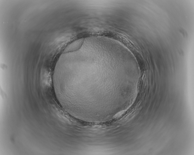 X0000091331204200708101420