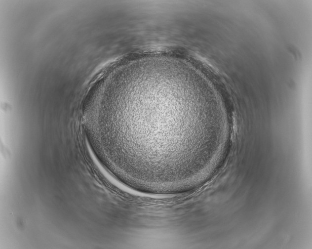 X0000091331206200708101420