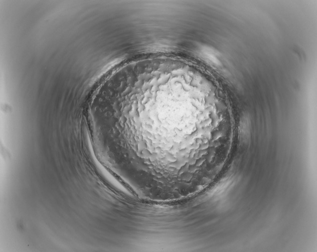 X0000091331209200708101420
