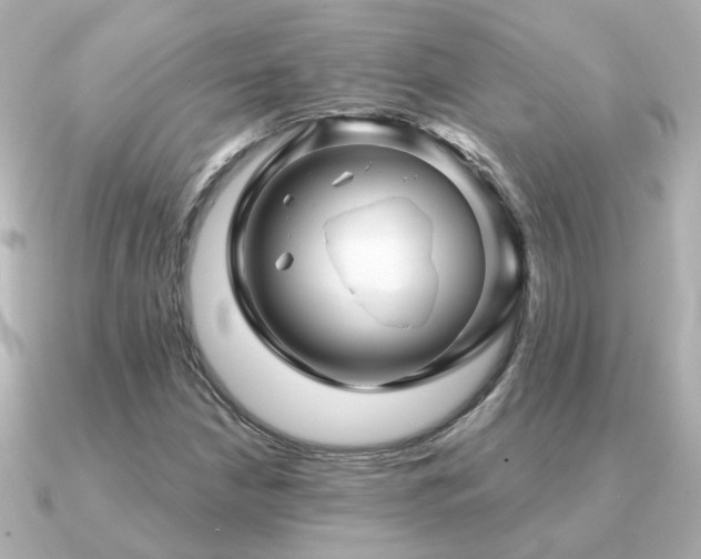 X0000091331210200708101420