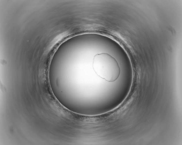 X0000091331211200708101420