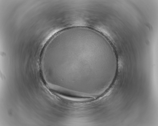 X0000091331212200708101420