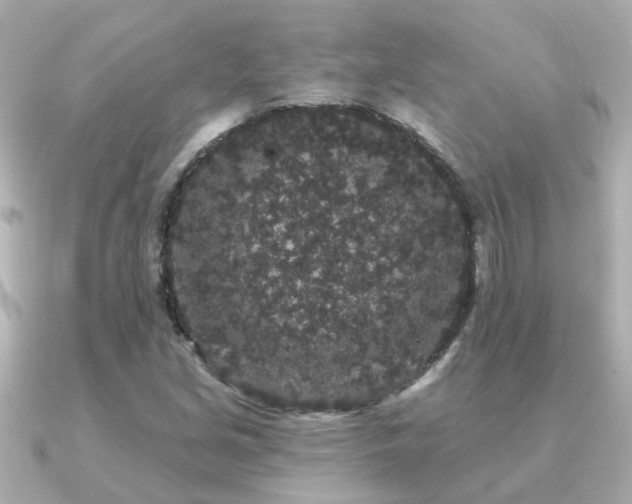 X0000091331213200708101420
