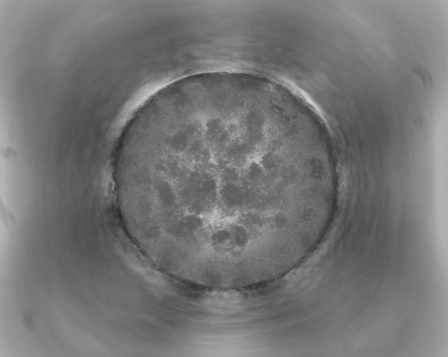 X0000091331215200708101420