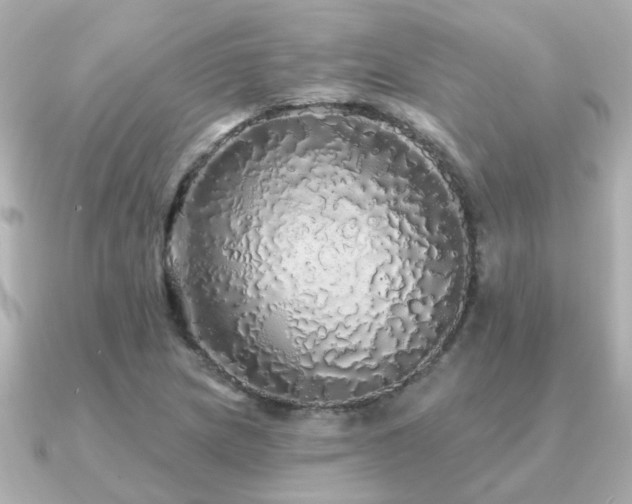 X0000091331217200708101420