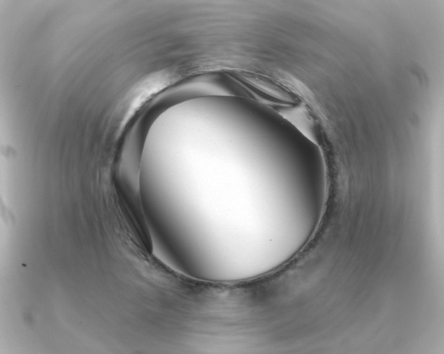 X0000091331218200708101420