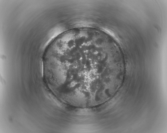 X0000091331219200708101420