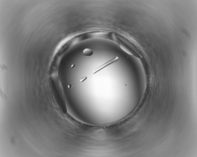 X0000091331222200708101420