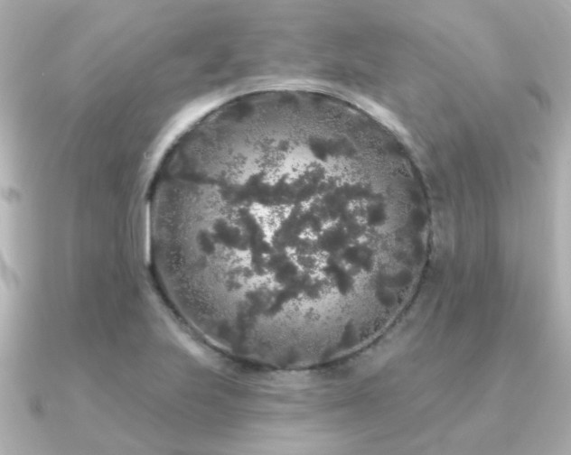 X0000091331223200708101420