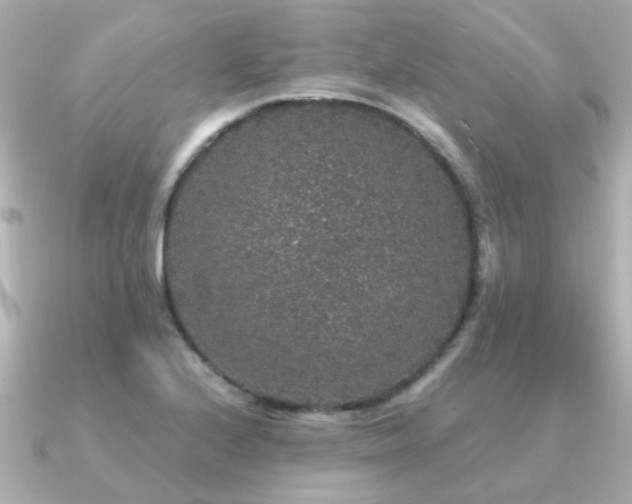 X0000091331224200708101420