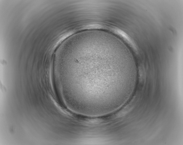 X0000091331225200708101420