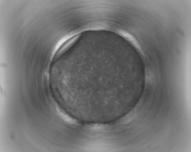 X0000091331226200708101420