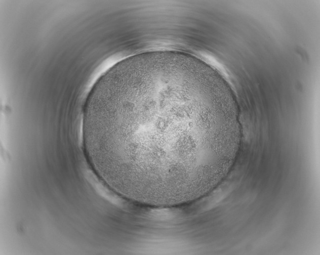 X0000091331227200708101420