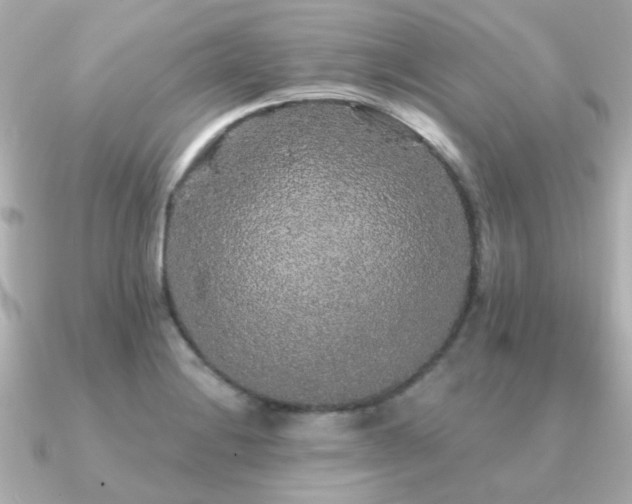 X0000091331228200708101420