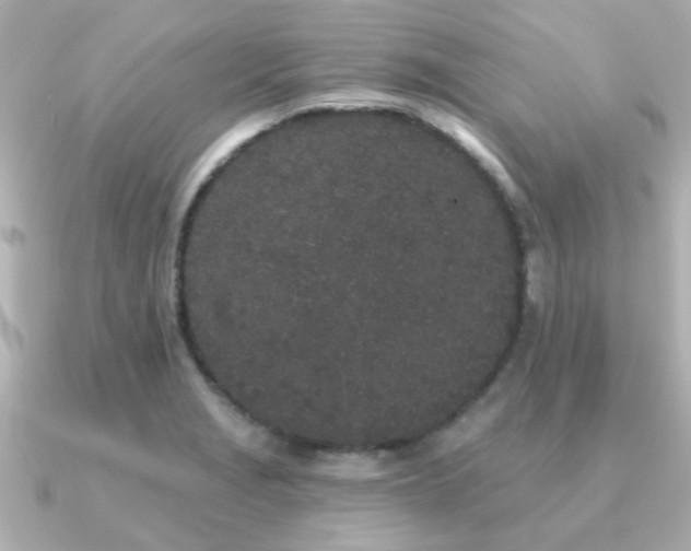 X0000091331229200708101420