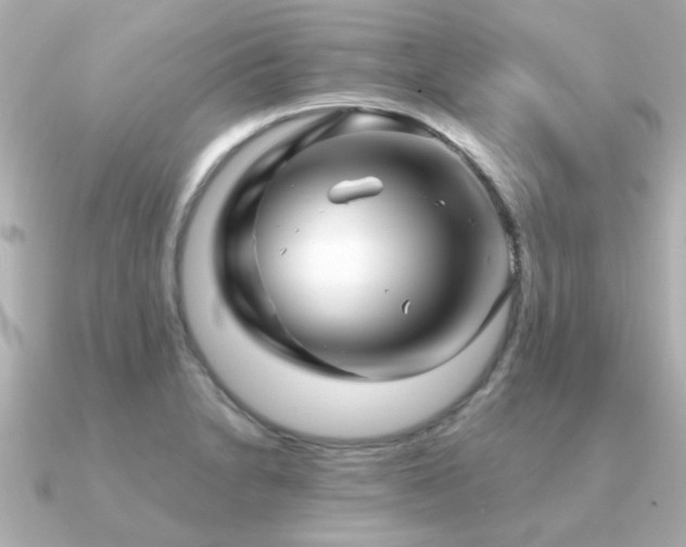 X0000091331230200708101420