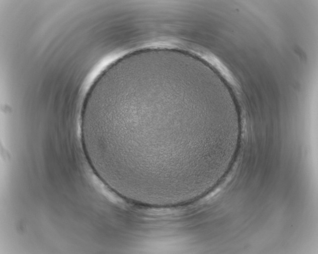 X0000091331232200708101420