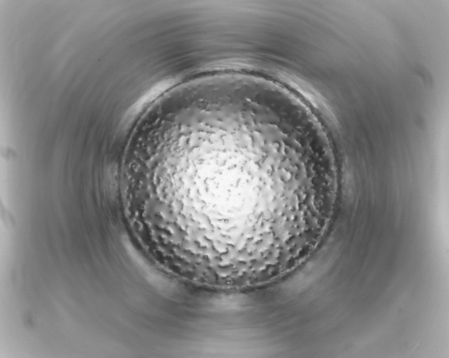 X0000091331233200708101420
