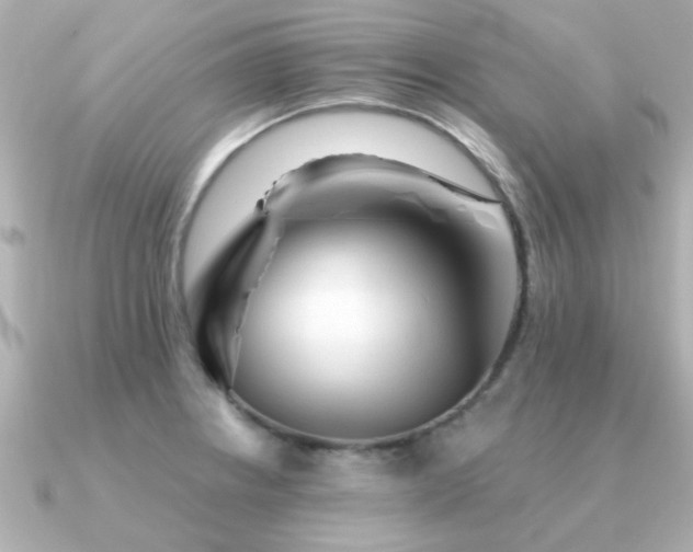 X0000091331234200708101420