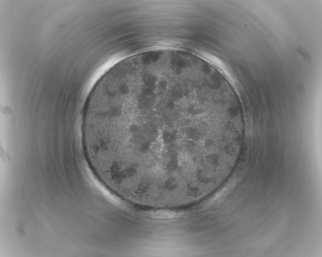 X0000091331235200708101420